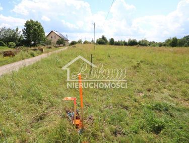 Zdjęcie 15620904 - 3