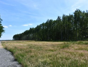 Zdjęcie ogłoszenia