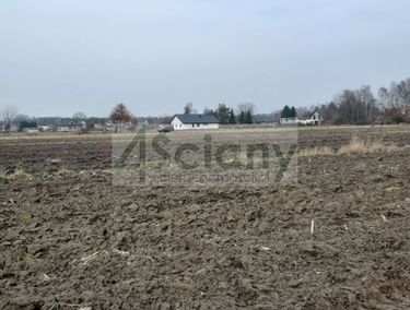 Zdjęcie 15650461 - 7