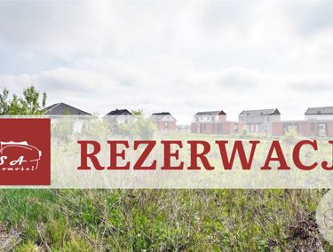 Zdjęcie 15656076 - 2