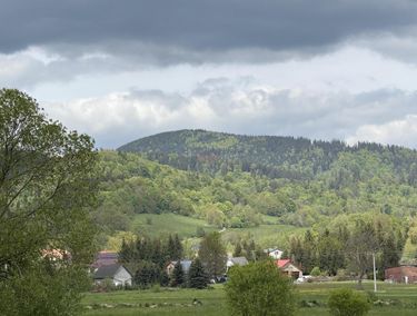 Zdjęcie ogłoszenia