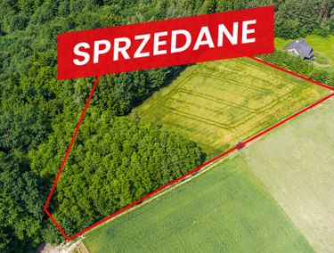 Zdjęcie 15674666 - 3