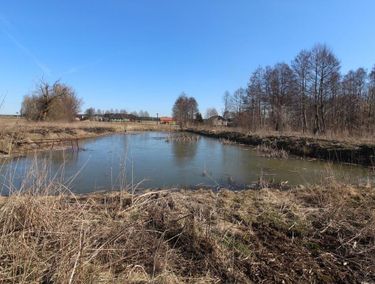 Zdjęcie ogłoszenia