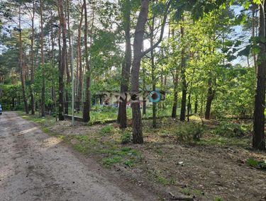 Zdjęcie ogłoszenia