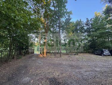Zdjęcie 15707638 - 1
