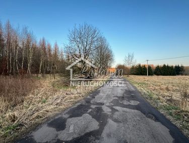 Zdjęcie 15711569 - 3