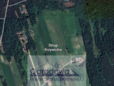 Zdjęcie ogłoszenia