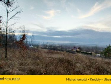 Zdjęcie ogłoszenia