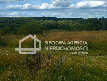 Zdjęcie ogłoszenia
