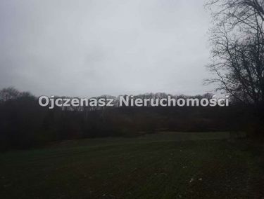 Zdjęcie ogłoszenia