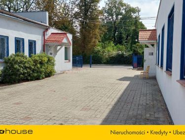 Zdjęcie ogłoszenia