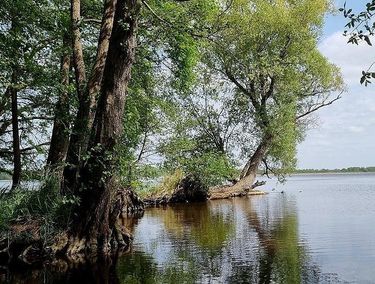 Zdjęcie ogłoszenia