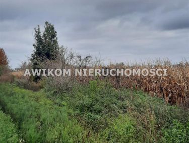 Zdjęcie ogłoszenia