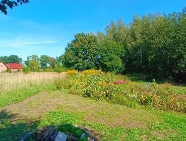 Zdjęcie ogłoszenia