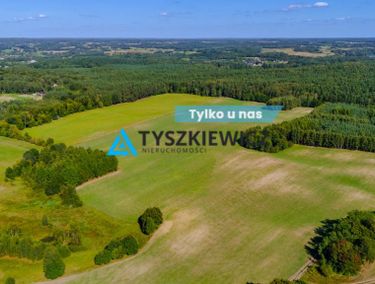 Zdjęcie 15743564 - 3