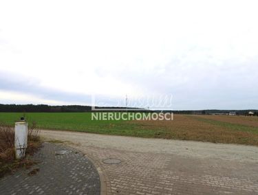 15747928 - zdjęcie ogłoszenia