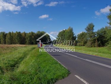 Zdjęcie 15761782 - 6