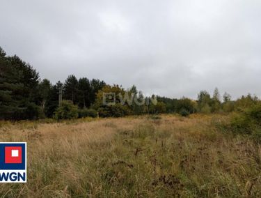 Zdjęcie ogłoszenia