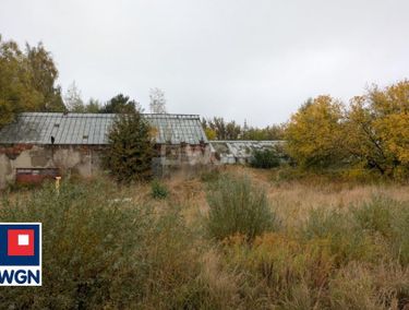 Zdjęcie ogłoszenia