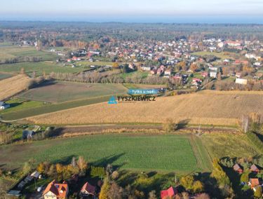 Zdjęcie 15786614 - 5