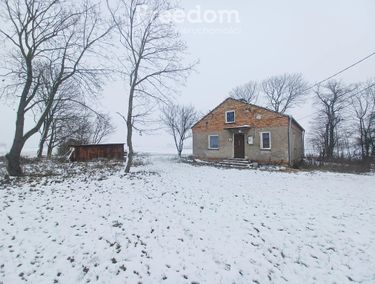 Zdjęcie 15798169 - 5