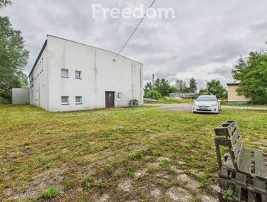 Zdjęcie 15806774 - 5