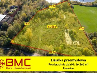 Zdjęcie ogłoszenia