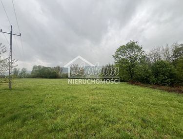 Zdjęcie 15810512 - 3