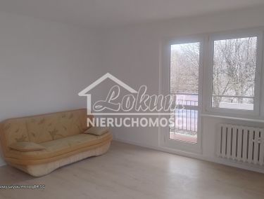 15810859 - zdjęcie ogłoszenia