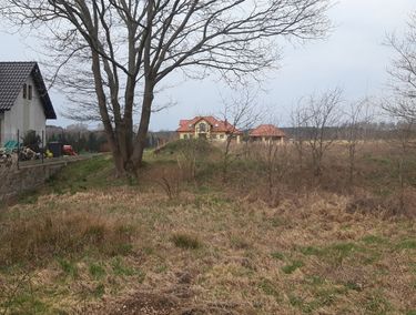 Zdjęcie ogłoszenia