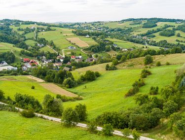 Zdjęcie ogłoszenia