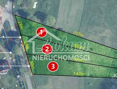 Zdjęcie 15820763 - 1