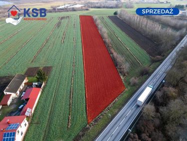 Zdjęcie ogłoszenia