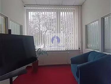 Zdjęcie ogłoszenia