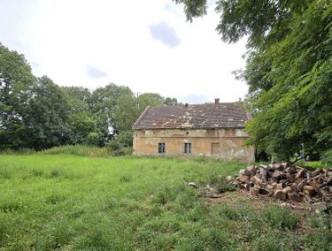 Zdjęcie ogłoszenia