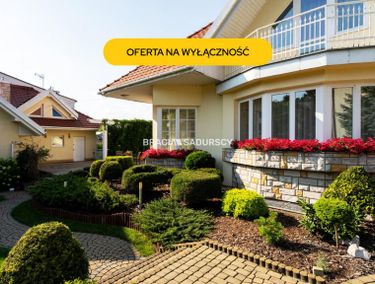 Zdjęcie 15823914 - 5