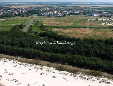 Zdjęcie ogłoszenia