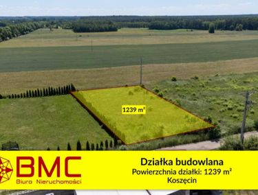 Zdjęcie ogłoszenia