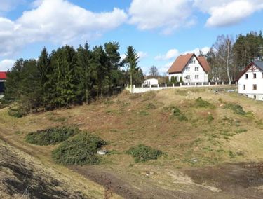 Zdjęcie ogłoszenia