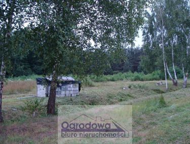 Zdjęcie 15849272 - 2