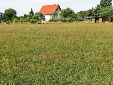 Zdjęcie ogłoszenia