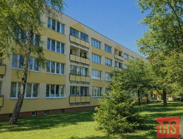 15851776 - zdjęcie ogłoszenia