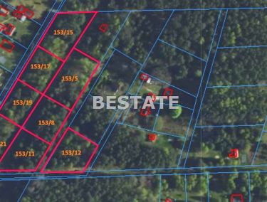 Zdjęcie 15853702 - 6