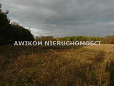 Zdjęcie ogłoszenia