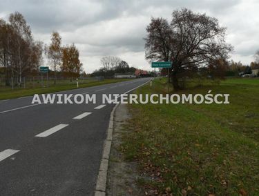 Zdjęcie 15858135 - 4