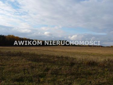 Zdjęcie ogłoszenia