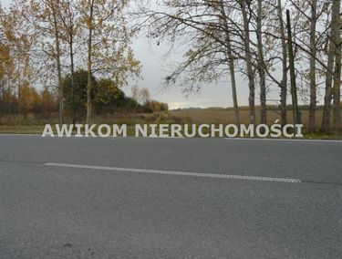 Zdjęcie ogłoszenia