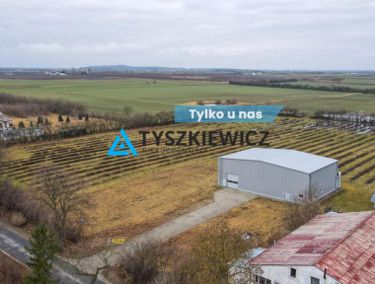 Zdjęcie ogłoszenia