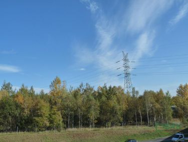 Zdjęcie ogłoszenia