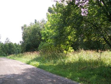 Zdjęcie ogłoszenia